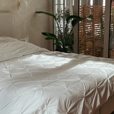 Atrium Apartment Aachen